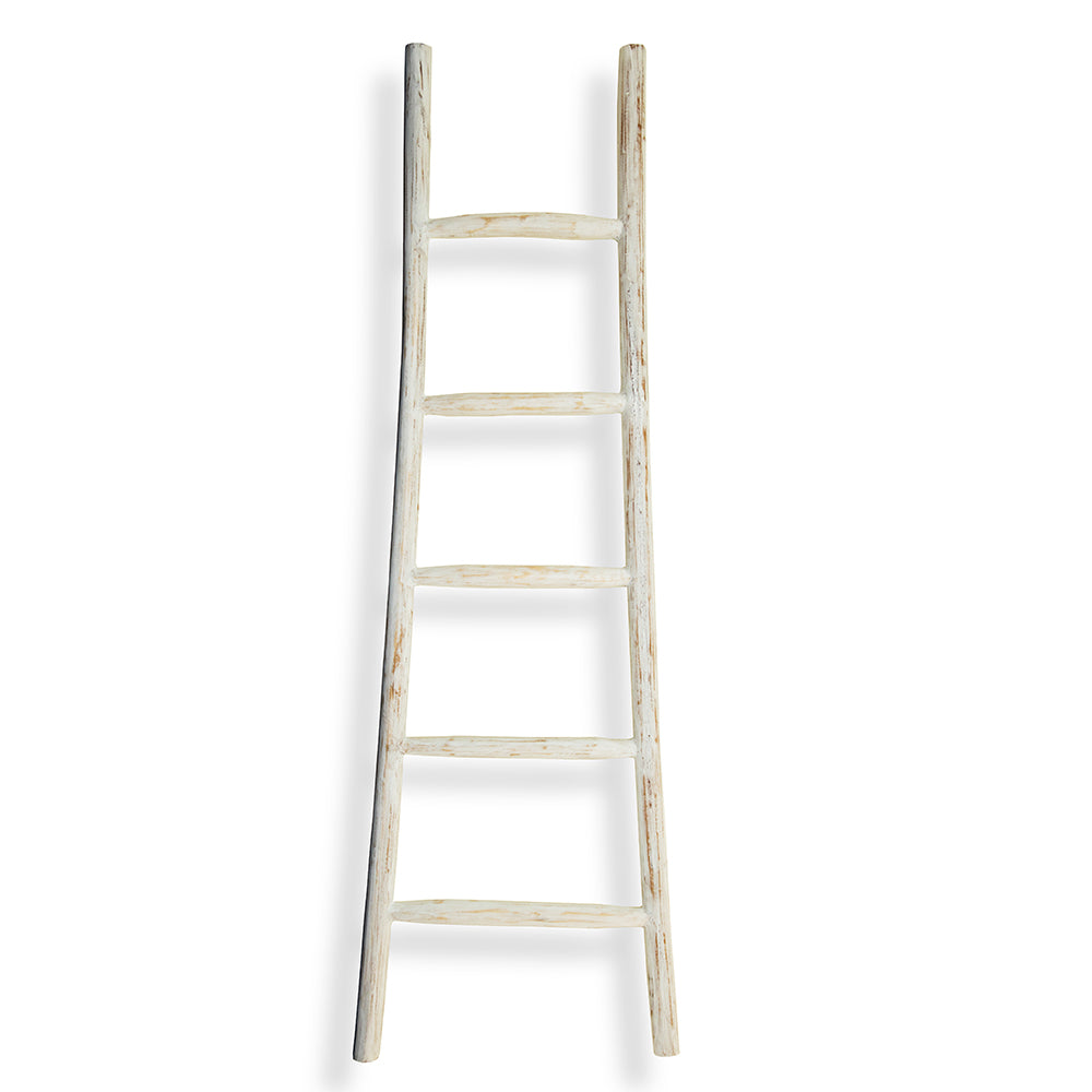 Teak Ladder