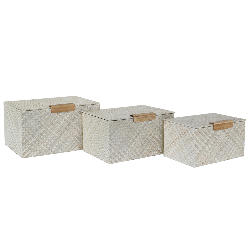 Paula Box, Set of 3