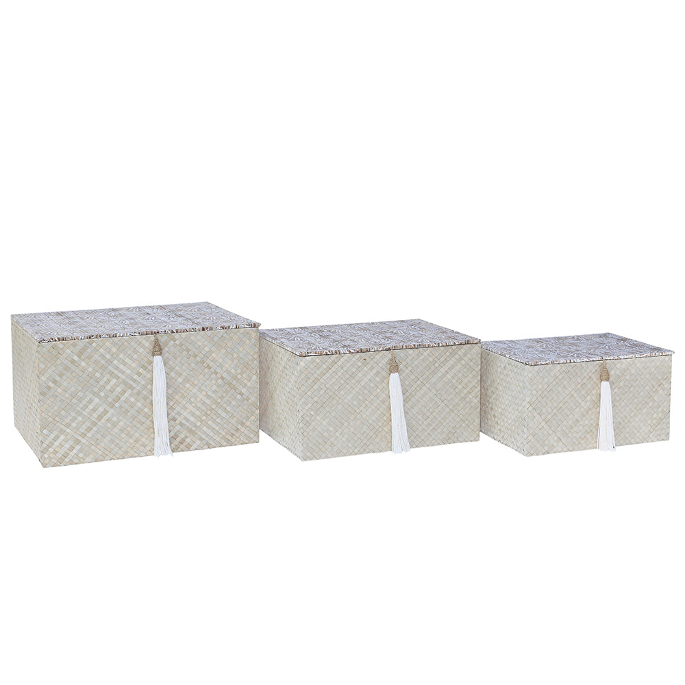 White Fern Box, Set of 3