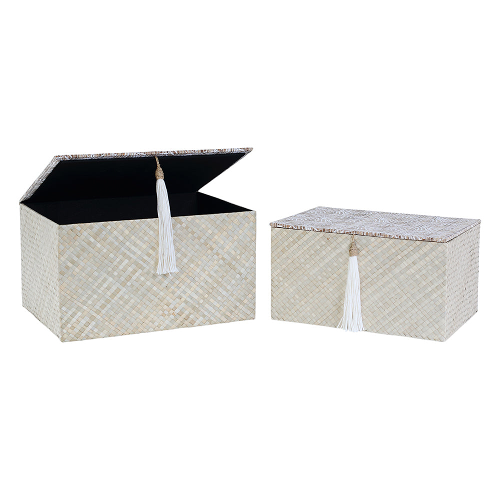 White Fern Box, Set of 3