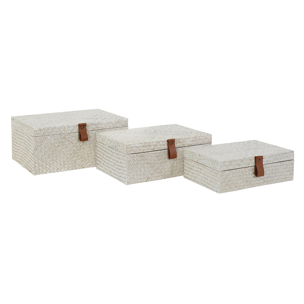 Tara Box, Set of 3