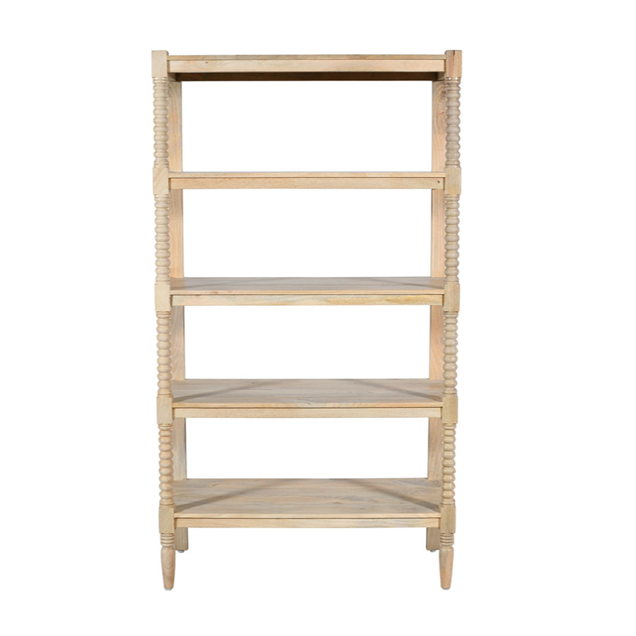 Celine Bookcase